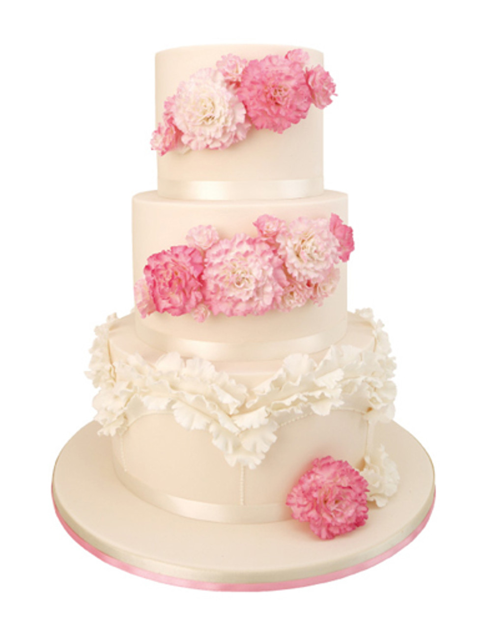 Sugar Carnations